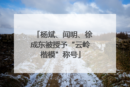 杨斌、闻明、徐成东被授予“云岭楷模”称号