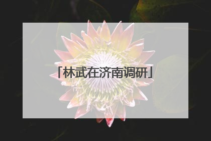 林武在济南调研