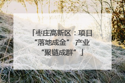 枣庄高新区：项目“落地成金” 产业“聚链成群”