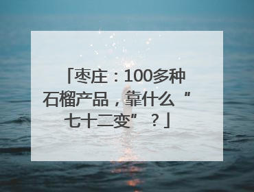 枣庄：100多种石榴产品，靠什么“七十二变”？