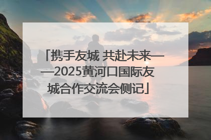 携手友城 共赴未来——2025黄河口国际友城合作交流会侧记
