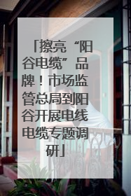 擦亮“阳谷电缆”品牌！市场监管总局到阳谷开展电线电缆专题调研