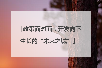 政策面对面：开发向下生长的“未来之城”