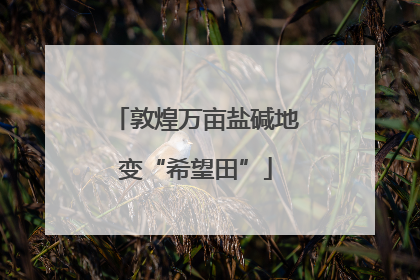 敦煌万亩盐碱地变“希望田”