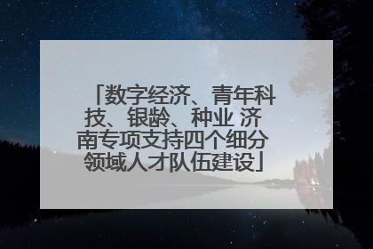 数字经济、青年科技、银龄、种业 济南专项支持四个细分领域人才队伍建设