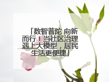 数智普陀 向新而行〡当社区治理遇上大模型，居民生活更便捷