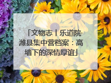 文物志丨乐道院·潍县集中营档案：高墙下的深情厚谊