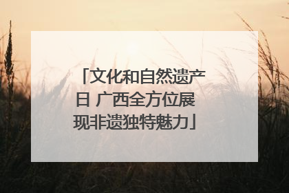 文化和自然遗产日 广西全方位展现非遗独特魅力