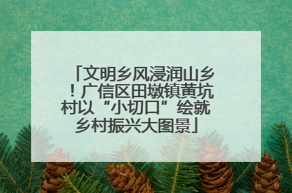 文明乡风浸润山乡！广信区田墩镇黄坑村以“小切口”绘就乡村振兴大图景
