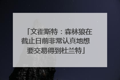 文霍斯特：森林狼在截止日前非常认真地想要交易得到杜兰特