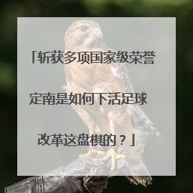 斩获多项国家级荣誉 定南是如何下活足球改革这盘棋的？