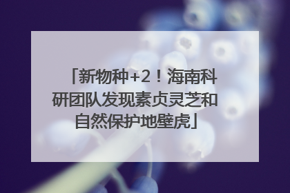 新物种+2！海南科研团队发现素贞灵芝和自然保护地壁虎
