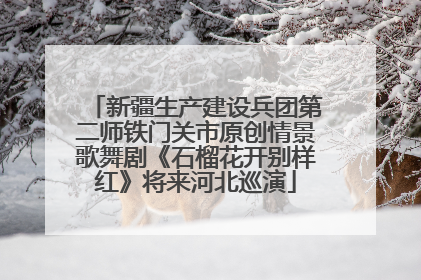新疆生产建设兵团第二师铁门关市原创情景歌舞剧《石榴花开别样红》将来河北巡演