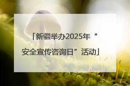 新疆举办2025年“安全宣传咨询日”活动