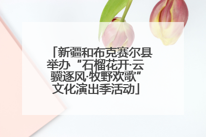 新疆和布克赛尔县举办“石榴花开·云骥逐风·牧野欢歌”文化演出季活动
