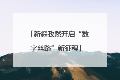 新疆孜然开启“数字丝路”新征程