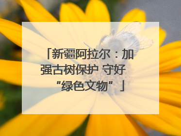 新疆阿拉尔：加强古树保护 守好“绿色文物”