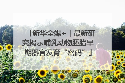新华全媒+｜最新研究揭示哺乳动物胚胎早期器官发育“密码”