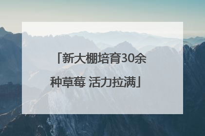 新大棚培育30余种草莓 活力拉满
