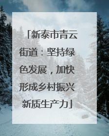 新泰市青云街道：坚持绿色发展，加快形成乡村振兴新质生产力