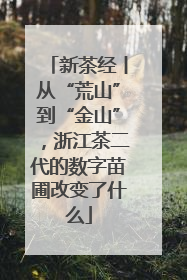 新茶经丨从“荒山”到“金山”，浙江茶二代的数字苗圃改变了什么