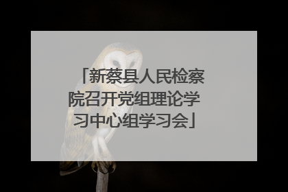 新蔡县人民检察院召开党组理论学习中心组学习会