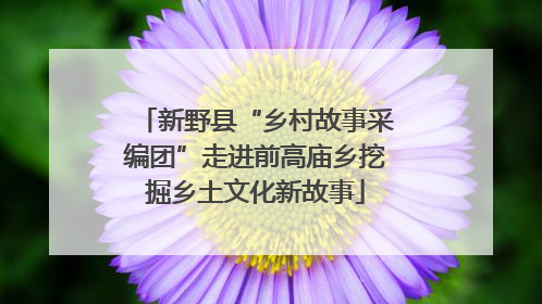 新野县“乡村故事采编团”走进前高庙乡挖掘乡土文化新故事