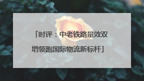 时评：中老铁路量效双增领跑国际物流新标杆