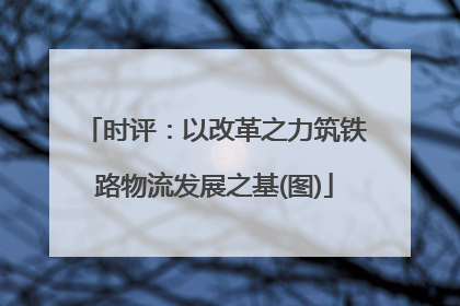 时评：以改革之力筑铁路物流发展之基(图)