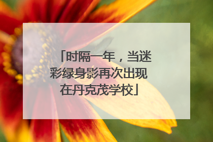 时隔一年，当迷彩绿身影再次出现在丹克茂学校