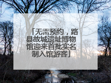 无需预约，路县故城遗址博物馆迎来首批实名制入馆游客