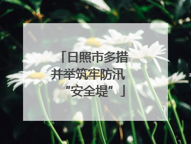 日照市多措并举筑牢防汛“安全堤”