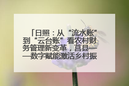 日照：从“流水账”到“云台账”看农村财务管理新变革，莒县——数字赋能激活乡村振兴“一池春水”
