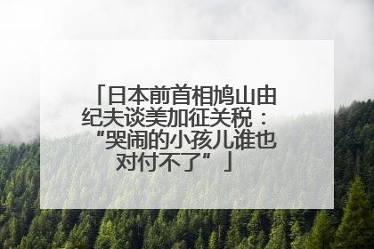 日本前首相鸠山由纪夫谈美加征关税：“哭闹的小孩儿谁也对付不了”