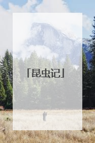 昆虫记