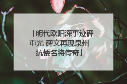 明代欧阳深事迹碑重光 碑文再现泉州抗倭名将传奇