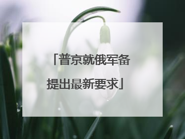 普京就俄军备提出最新要求