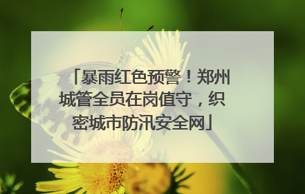 暴雨红色预警！郑州城管全员在岗值守，织密城市防汛安全网