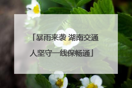 暴雨来袭 湖南交通人坚守一线保畅通