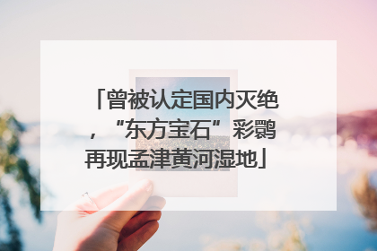曾被认定国内灭绝，“东方宝石”彩鹮再现孟津黄河湿地