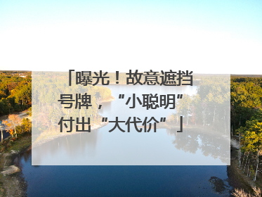 曝光！故意遮挡号牌，“小聪明”付出“大代价”