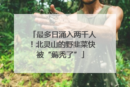 最多日涌入两千人！北灵山的野韭菜快被“薅秃了”