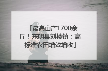 最高亩产1700余斤！东明县刘楼镇：高标准农田增效增收
