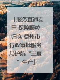 服务直通麦田 保障颗粒归仓 德州市行政审批服务局护航“三夏”生产