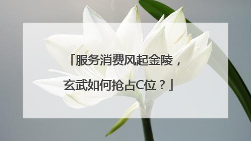 服务消费风起金陵，玄武如何抢占C位？
