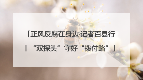 正风反腐在身边·记者百县行丨“双探头”守好“拨付路”