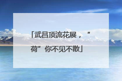 武昌顶流花展，“荷”你不见不散