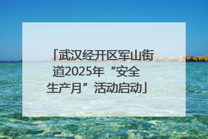 武汉经开区军山街道2025年“安全生产月”活动启动