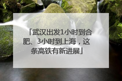 武汉出发1小时到合肥、3小时到上海，这条高铁有新进展