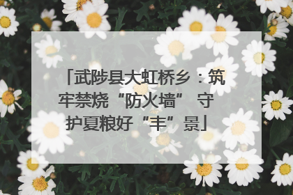 武陟县大虹桥乡：筑牢禁烧“防火墙” 守护夏粮好“丰”景